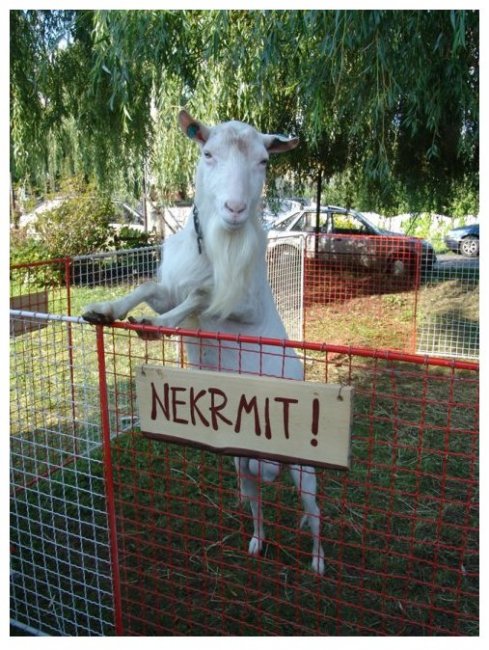 Kliknutím zavřete okno