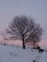 Advent s Netvořákem 19.12.2010